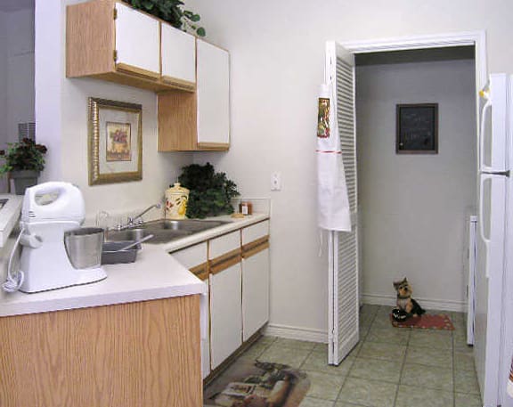 A kitchen with a white mixer and a dog.