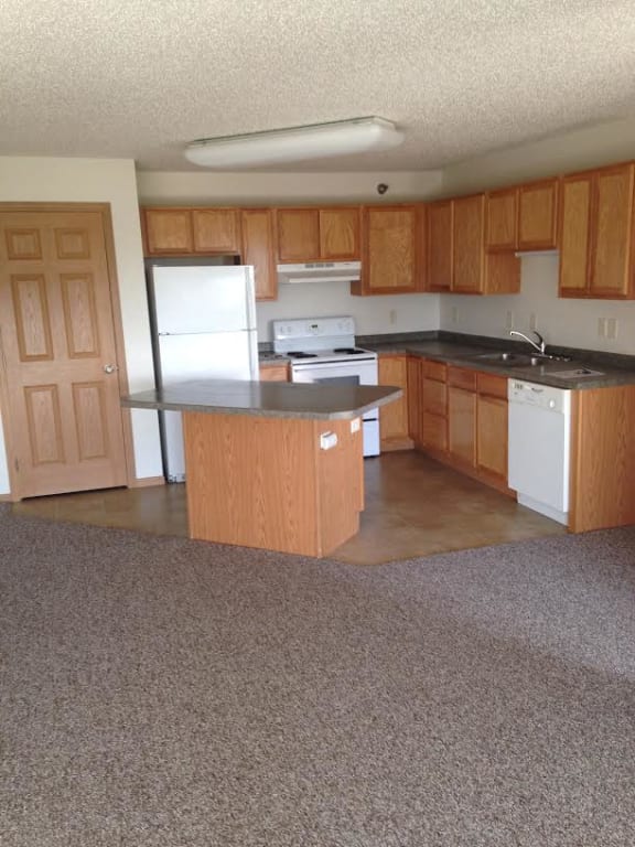 Kitchen View at Northridge Apartments, Minnesota, 55063