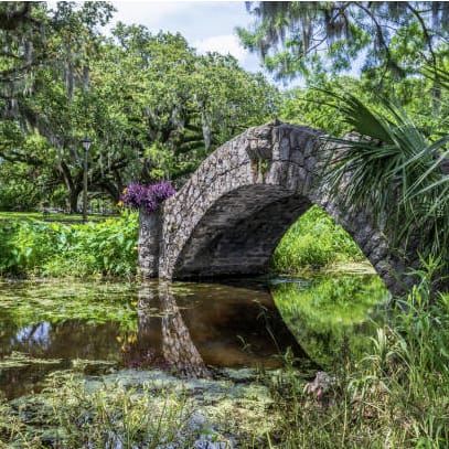 A stone bridge over a pond surrounded by greenery.
