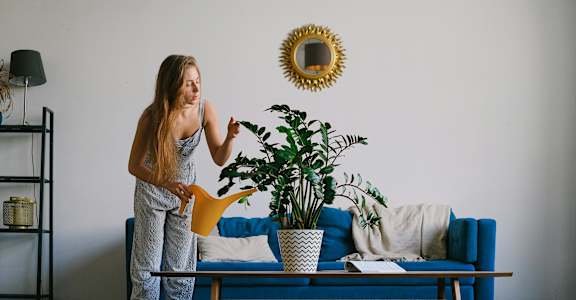 A woman watering a plant in a living room.at Hills on 36, Edmonton, T6X 3K2