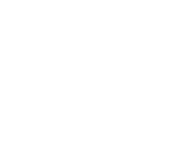 a circle drawn with white lines on a black background