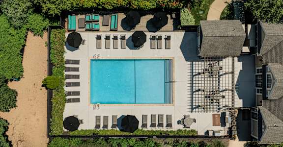 An aerial view of a swimming pool surrounded by trees and bushes.