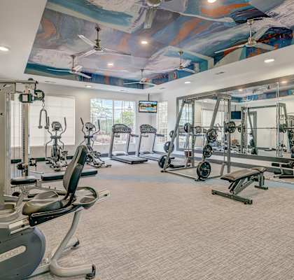 a gym with exercise equipment and a painting on the ceiling at Crossroads sitting area and fireplace at Centerview at Crossroads, Raleigh, NC, 27609