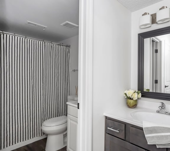 Luxurious Bathroom at Tall Timber Apartments, Cincinnati, 45241