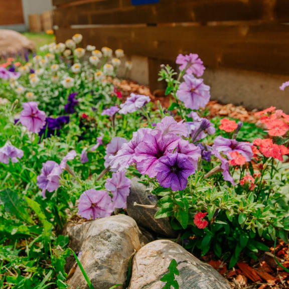 Outdoor Garden at Dream Island, Steamboat Springs, CO