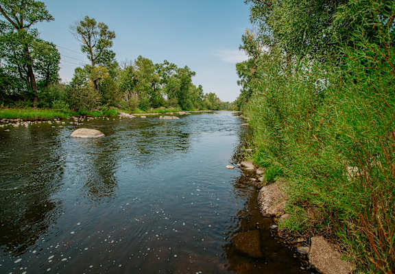 a river with rocks and trees on the side of it at Dream Island, Steamboat Springs, CO, 80487