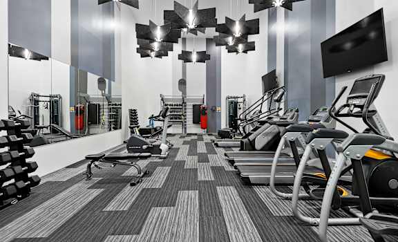 A gym with treadmills, exercise bikes, and other equipment.