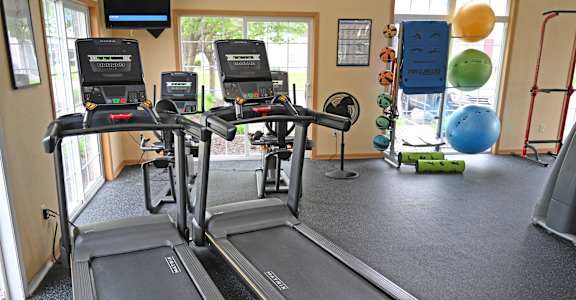 A gym with treadmills and exercise balls.