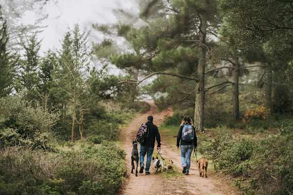 a couple walking their dogs down a dirt road in the woods at East 51 At Rocketts Landing, Richmond, 23231