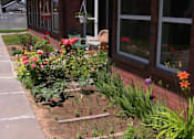 Thumbnail 5 of 5 - Property landscaping