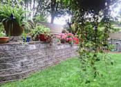 Thumbnail 2 of 6 - landscaping