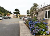 Thumbnail 1 of 5 - Parking lot