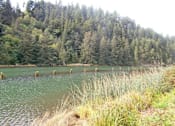 Thumbnail 3 of 5 - River