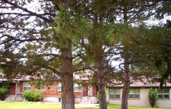 a building with a yard and trees in front of it