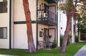 Patios with mature trees