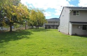 Lawn with mature trees