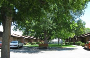 Mature trees on the property
