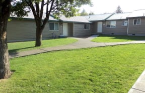 Yard with mature trees