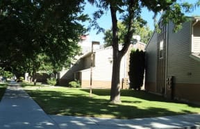 Landscaping with mature trees