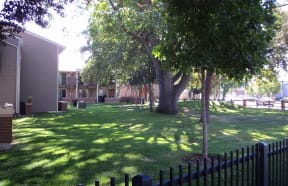 Lawn with mature trees
