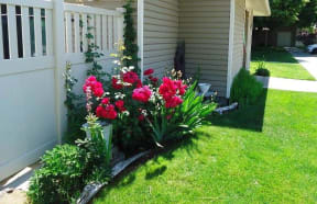 Flower beds