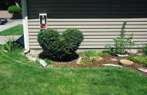 landscaping