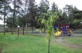 Playground area