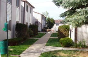 Sidewalk and buildings