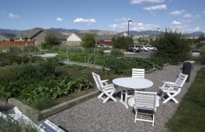 Garden area