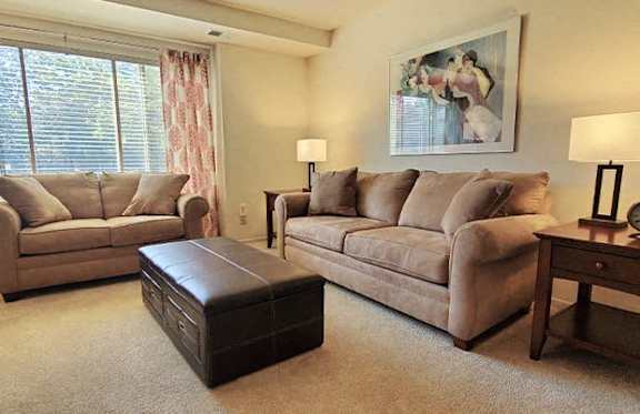 A living room with two couches and a coffee table.