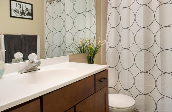 Regency Woods Apartments in Minnetonka, MN Bathroom  at Regency Woods, Minnetonka