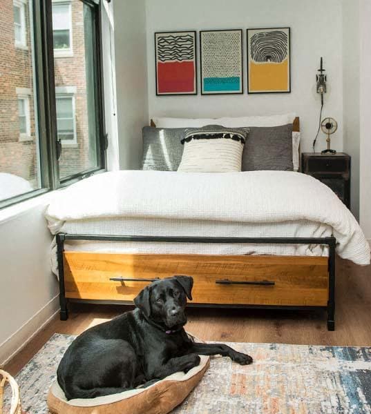 a black dog laying on a bed in a bedroom