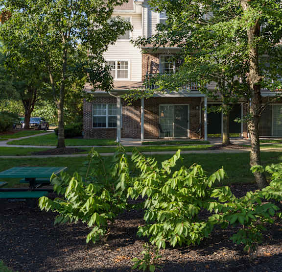 A green bench is in the foreground of a tree-filled yard.