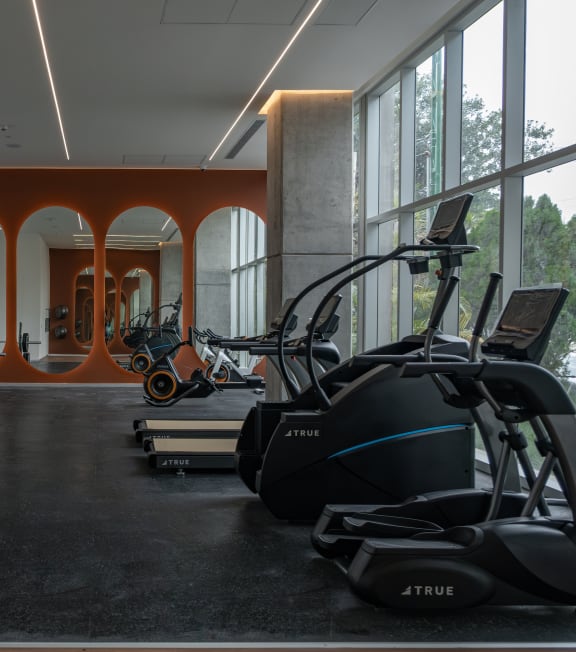 a gym with exercise equipment and large windows