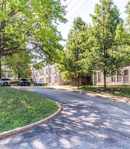 A tree-lined street with cars parked on the side.