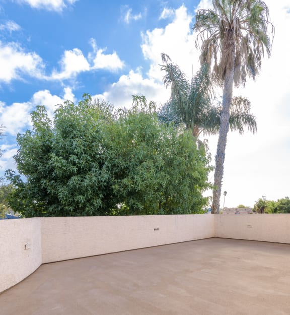 a large patio with palm trees and trees in the background