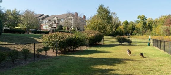 Dog Park at Wyndchase at Aspen Grove in Franklin, TN 37067
