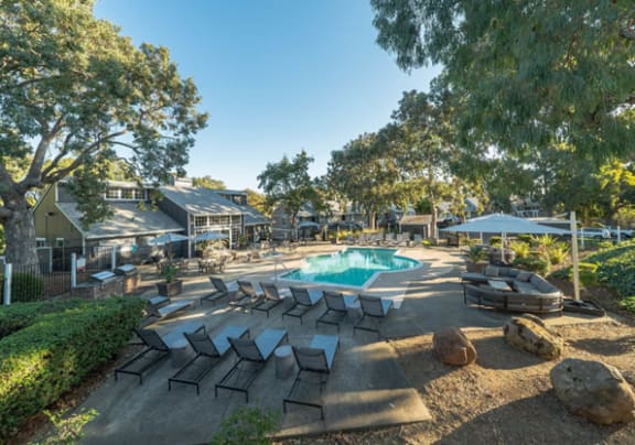 a swimming pool with lounge chairs and trees