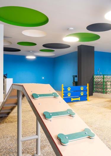 a large table with four skateboards on top of it in a room with blue walls and