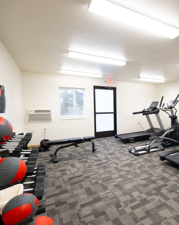 a gym with treadmills and weights and a tv