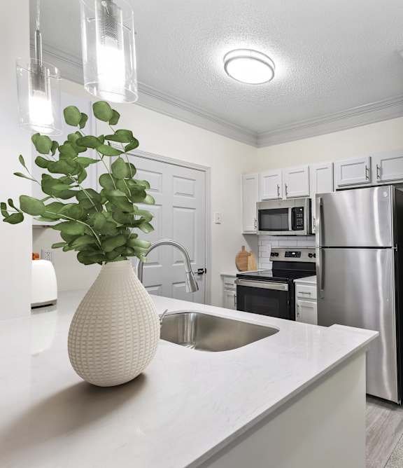 A kitchen with a sink, refrigerator, and a plant.