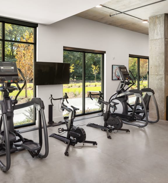 the gym has plenty of exercise bikes and treadmills