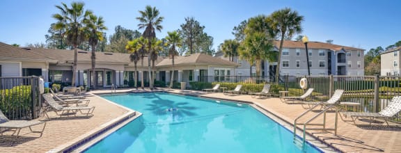 our apartments offer a swimming pool with palm trees