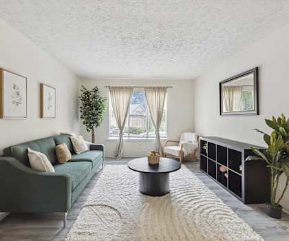 a living room with a green couch and a rug