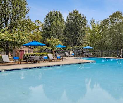 a swimming pool with chairs and umbrellas at the resort