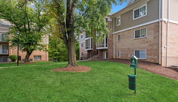 Man cradling a small dog inside  at Briarwood Apartments, Dumfries