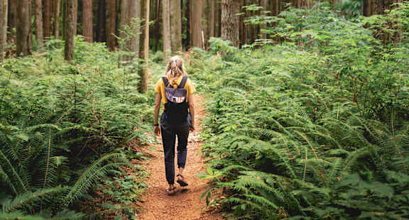A person with a yellow backpack is walking on a dirt path in a forest.