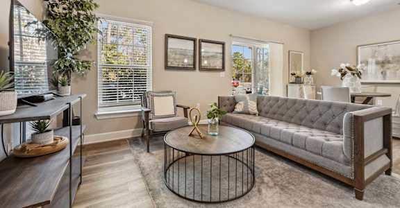 A living room with a grey sofa, a coffee table, and a potted plant.