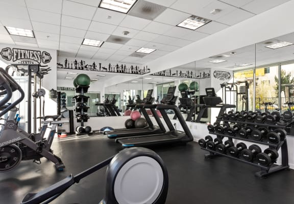 a fully equipped gym with weights and other exercise equipment