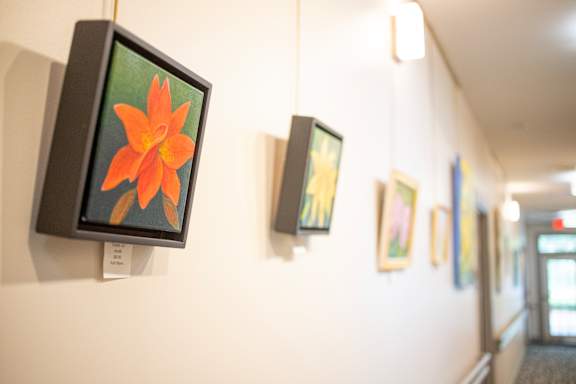 A wall with paintings on it.at Spring Arbor of Wilson, Wilson, NC 27893-2873